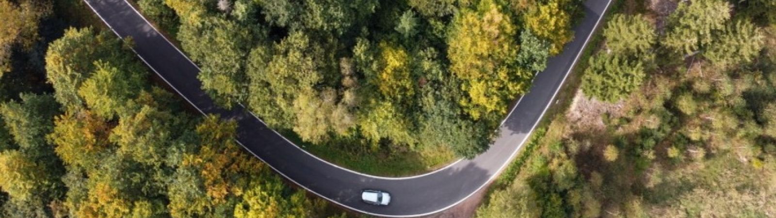 Carbon Neutral vs Net Zero